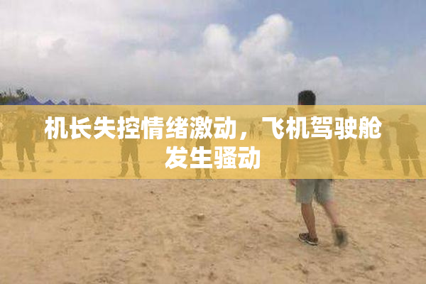 机长失控情绪激动，飞机驾驶舱发生骚动
