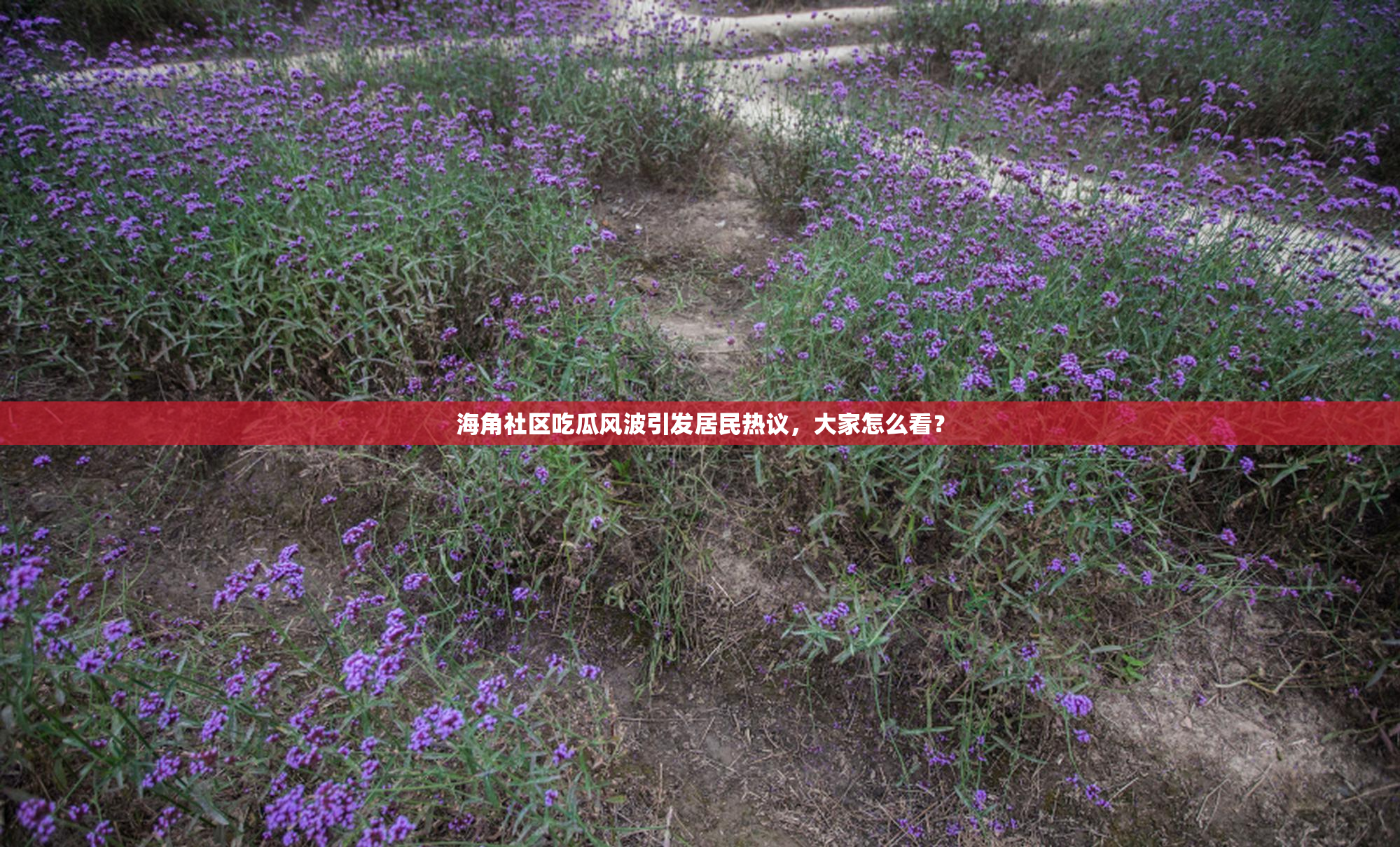 海角社区吃瓜风波引发居民热议，大家怎么看？