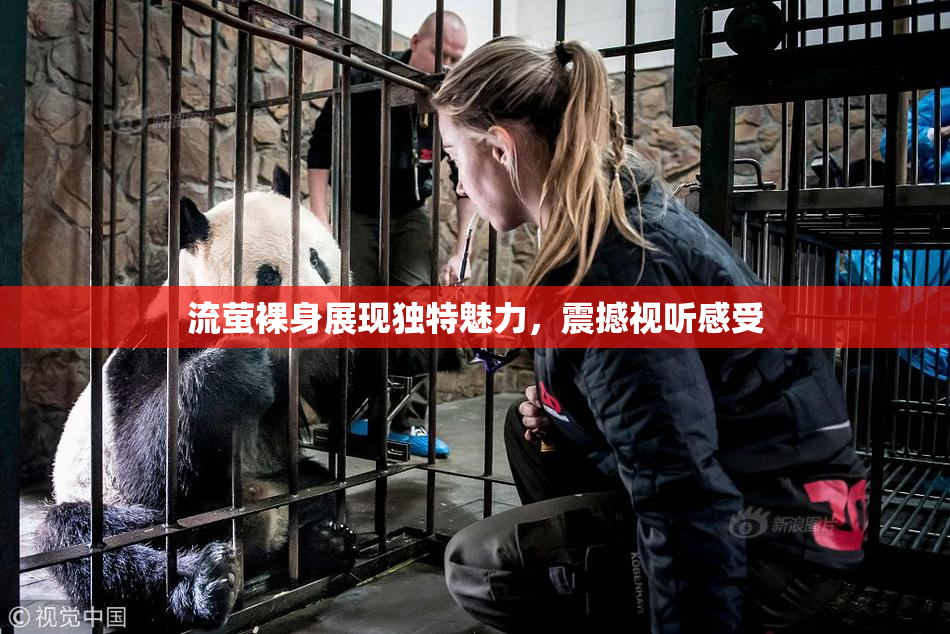 流萤裸身展现独特魅力，震撼视听感受