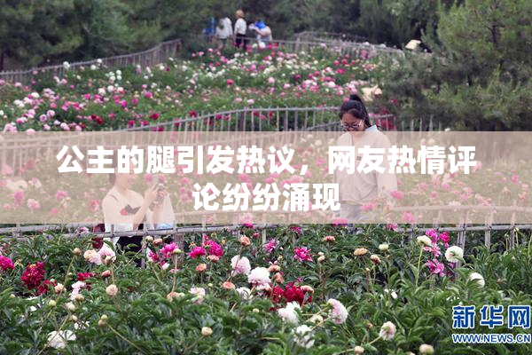 公主的腿引发热议，网友热情评论纷纷涌现