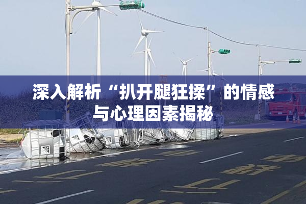 深入解析“扒开腿狂揉”的情感与心理因素揭秘