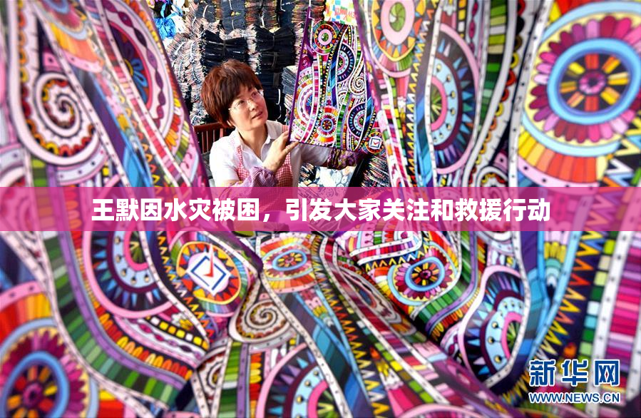 王默因水灾被困，引发大家关注和救援行动