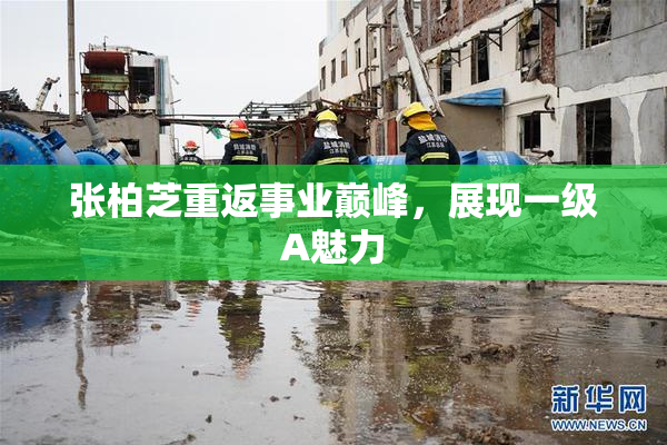 张柏芝重返事业巅峰，展现一级A魅力