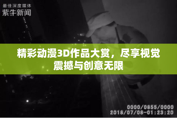 精彩动漫3D作品大赏，尽享视觉震撼与创意无限