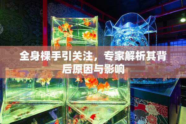 全身棵手引关注，专家解析其背后原因与影响
