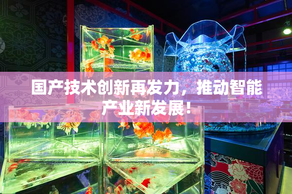 国产技术创新再发力，推动智能产业新发展！