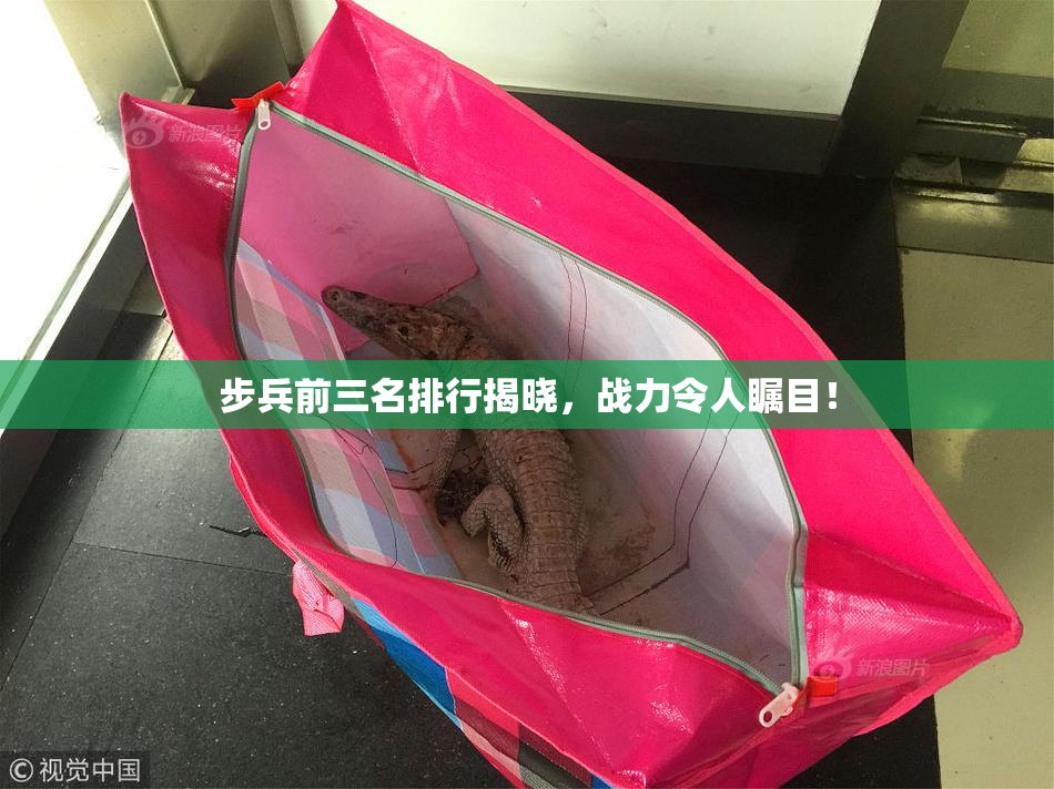 步兵前三名排行揭晓，战力令人瞩目！