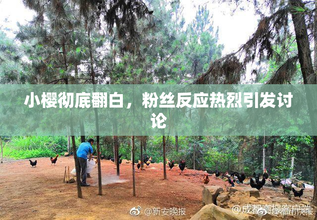 小樱彻底翻白，粉丝反应热烈引发讨论