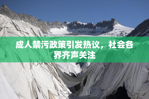成人禁污政策引发热议，社会各界齐声关注