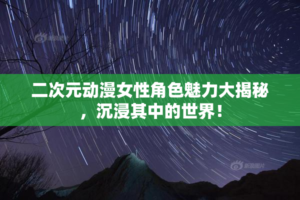 二次元动漫女性角色魅力大揭秘，沉浸其中的世界！