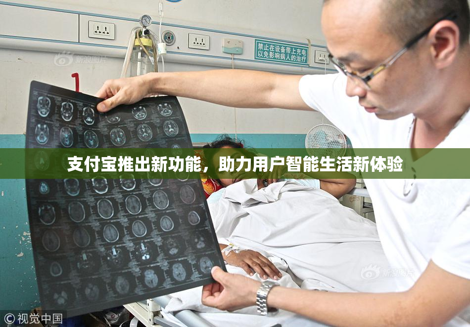 支付宝推出新功能，助力用户智能生活新体验