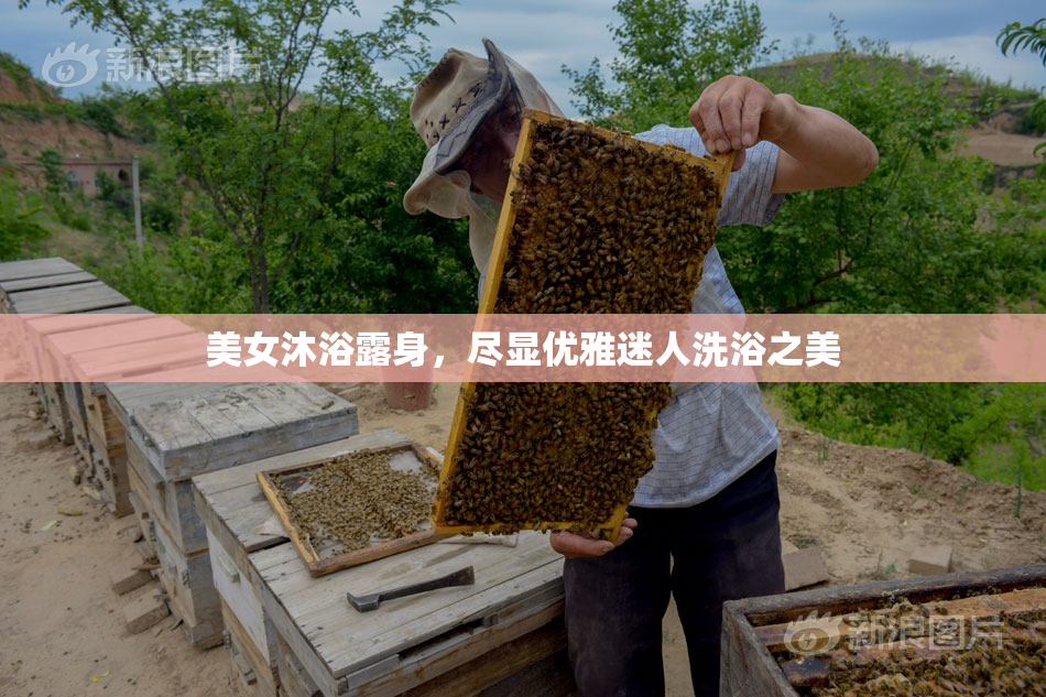 美女沐浴露身，尽显优雅迷人洗浴之美