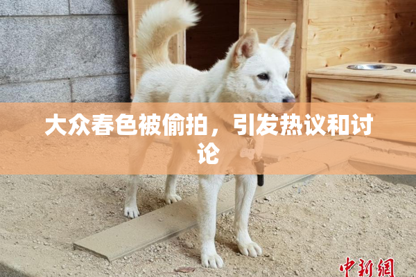 大众春色被偷拍，引发热议和讨论