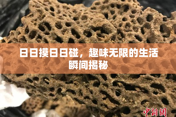 日日摸日日碰，趣味无限的生活瞬间揭秘