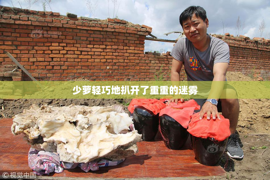 少萝轻巧地扒开了重重的迷雾