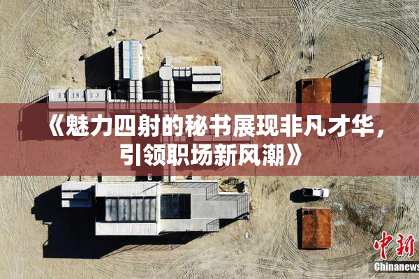 《魅力四射的秘书展现非凡才华，引领职场新风潮》