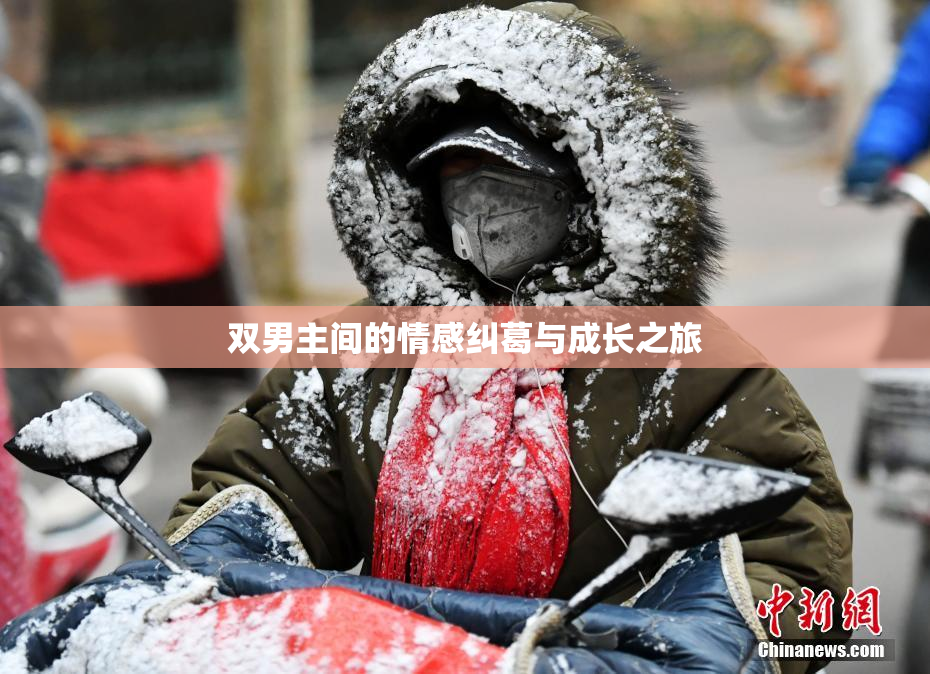 双男主间的情感纠葛与成长之旅