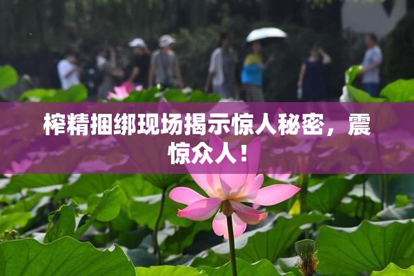 榨精捆绑现场揭示惊人秘密，震惊众人！