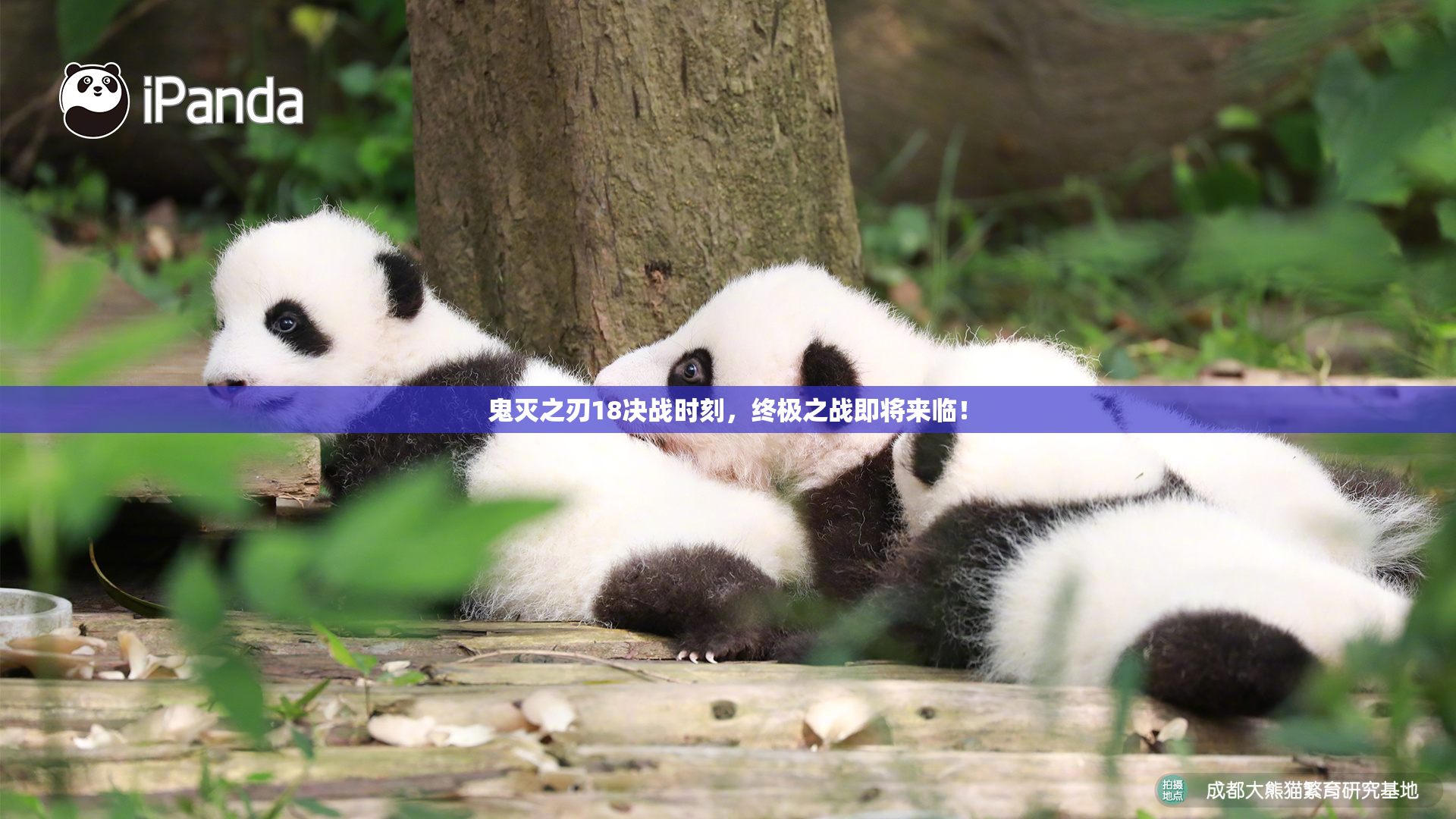 鬼灭之刃18决战时刻，终极之战即将来临！