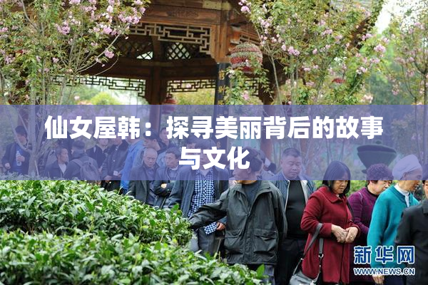 仙女屋韩：探寻美丽背后的故事与文化