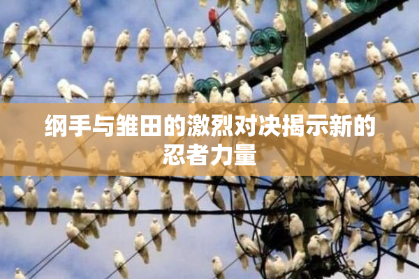 纲手与雏田的激烈对决揭示新的忍者力量