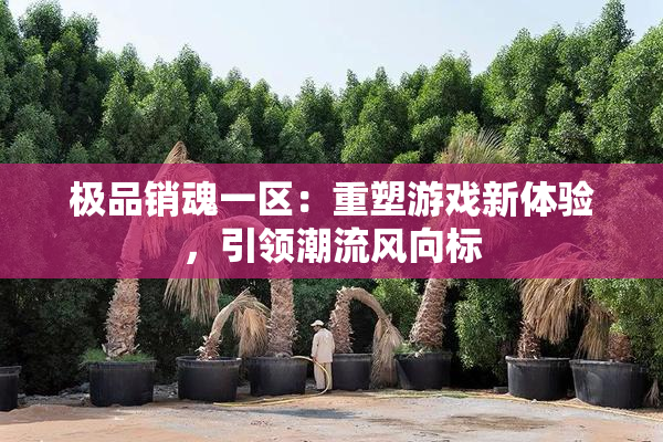 极品销魂一区：重塑游戏新体验，引领潮流风向标