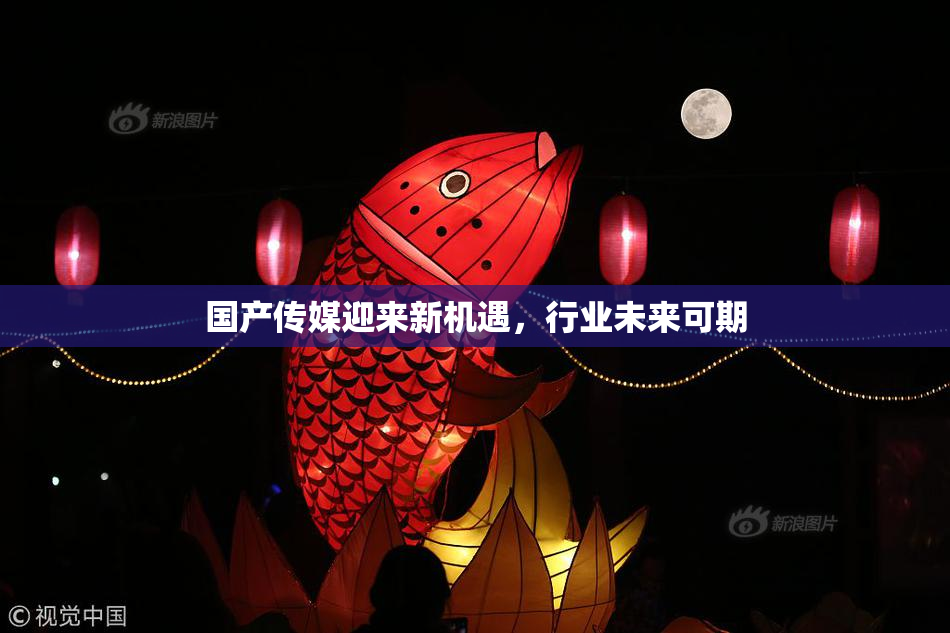 国产传媒迎来新机遇，行业未来可期