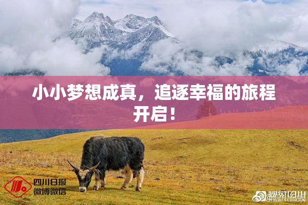 小小梦想成真，追逐幸福的旅程开启！