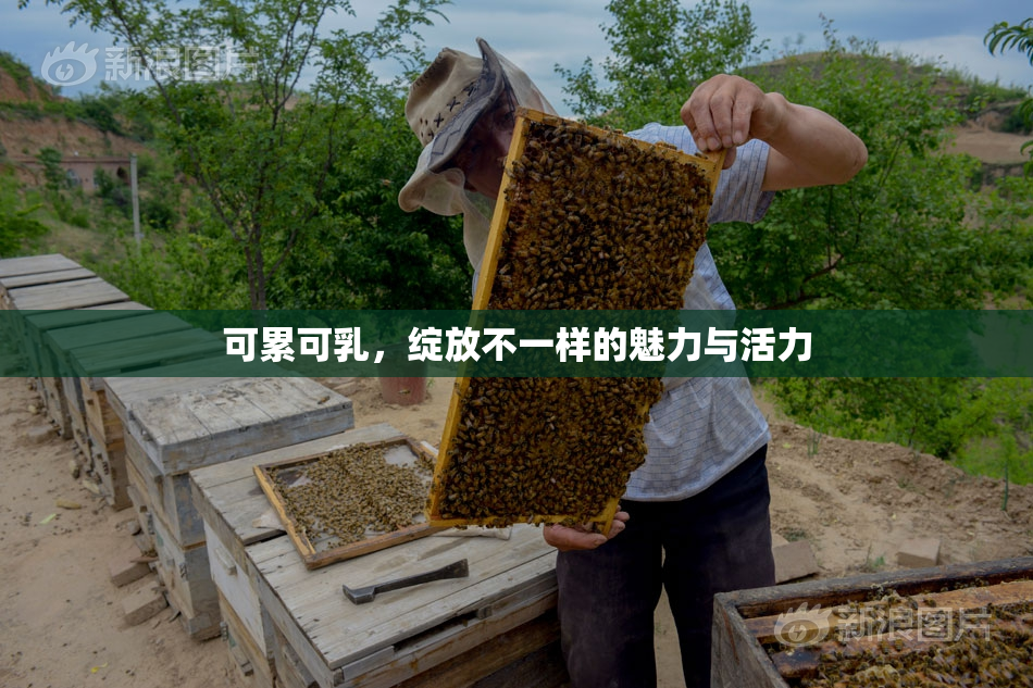 可累可乳，绽放不一样的魅力与活力