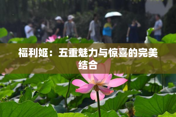 福利姬：五重魅力与惊喜的完美结合