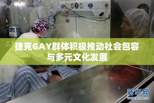 捷克GAY群体积极推动社会包容与多元文化发展
