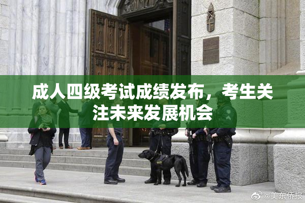 成人四级考试成绩发布，考生关注未来发展机会