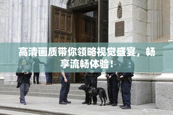 高清画质带你领略视觉盛宴，畅享流畅体验！
