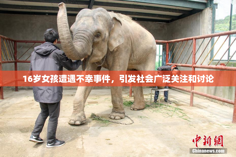 16岁女孩遭遇不幸事件，引发社会广泛关注和讨论