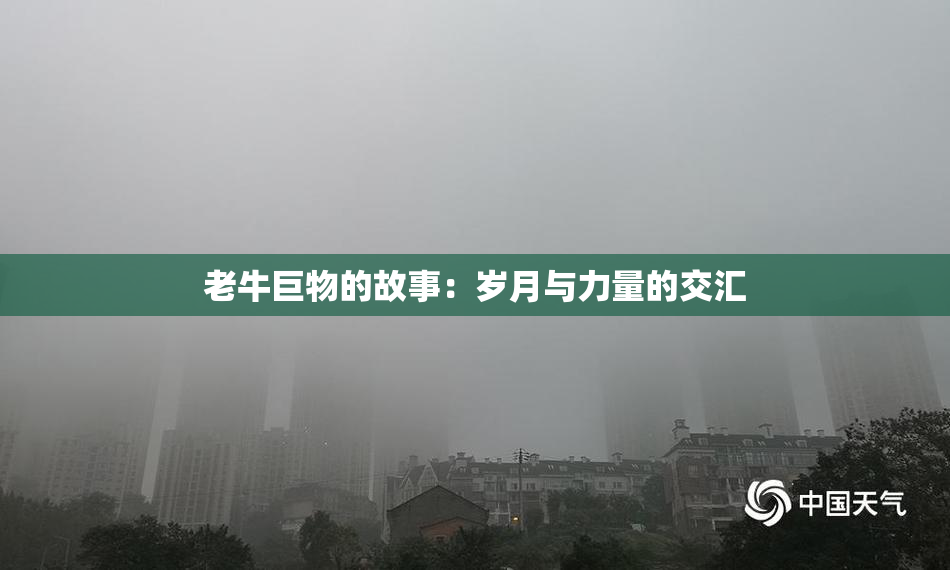 老牛巨物的故事：岁月与力量的交汇