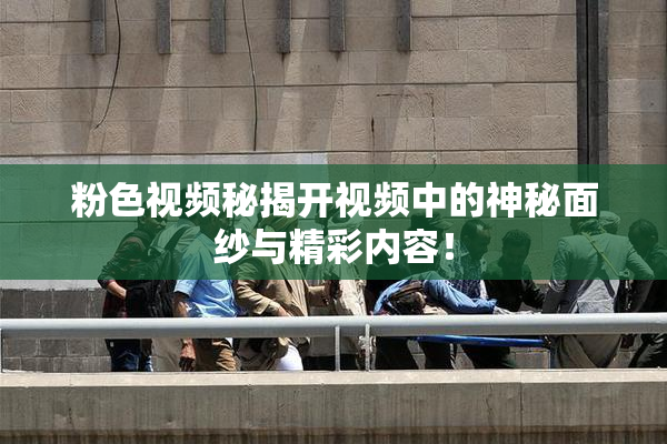 粉色视频秘揭开视频中的神秘面纱与精彩内容！
