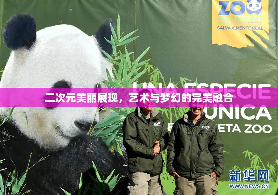 二次元美丽展现，艺术与梦幻的完美融合