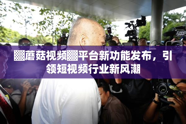 ▓蘑菇视频▓平台新功能发布，引领短视频行业新风潮