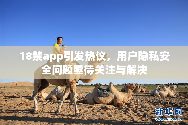 18禁app引发热议，用户隐私安全问题亟待关注与解决