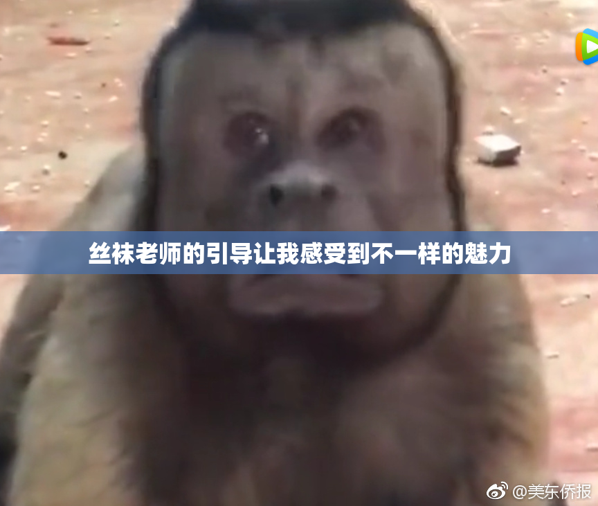 丝袜老师的引导让我感受到不一样的魅力