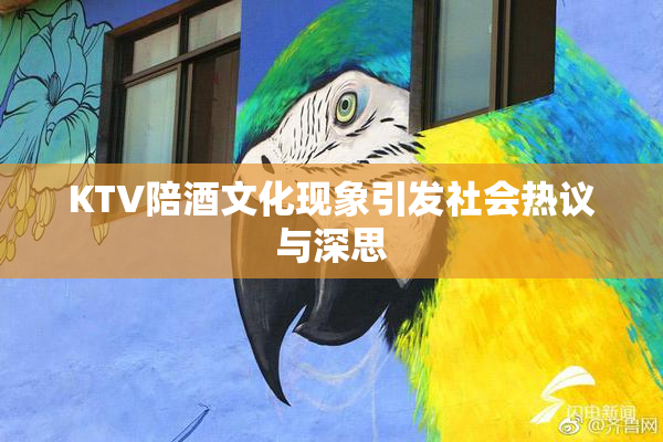 KTV陪酒文化现象引发社会热议与深思