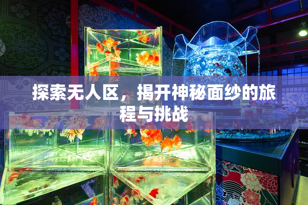 探索无人区，揭开神秘面纱的旅程与挑战