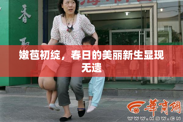 嫩苞初绽，春日的美丽新生显现无遗