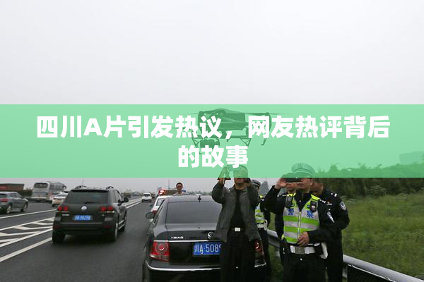 四川A片引发热议，网友热评背后的故事