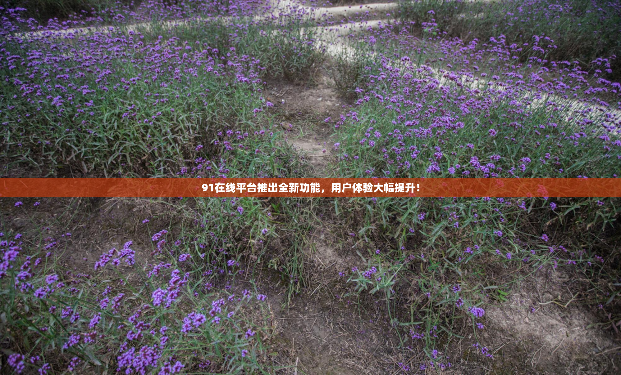 91在线平台推出全新功能，用户体验大幅提升！
