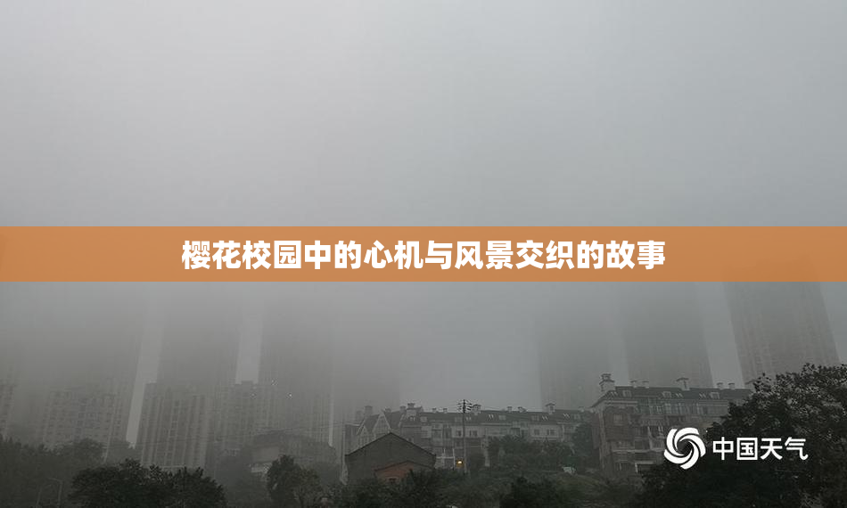 樱花校园中的心机与风景交织的故事