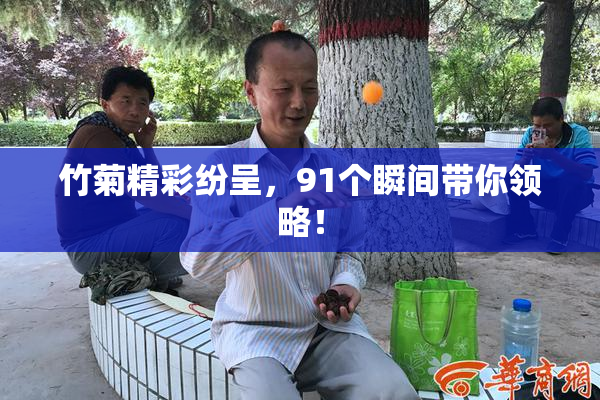 竹菊精彩纷呈，91个瞬间带你领略！