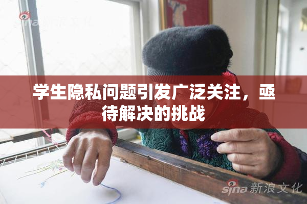 学生隐私问题引发广泛关注，亟待解决的挑战