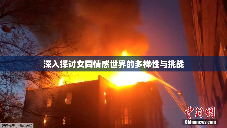 深入探讨女同情感世界的多样性与挑战