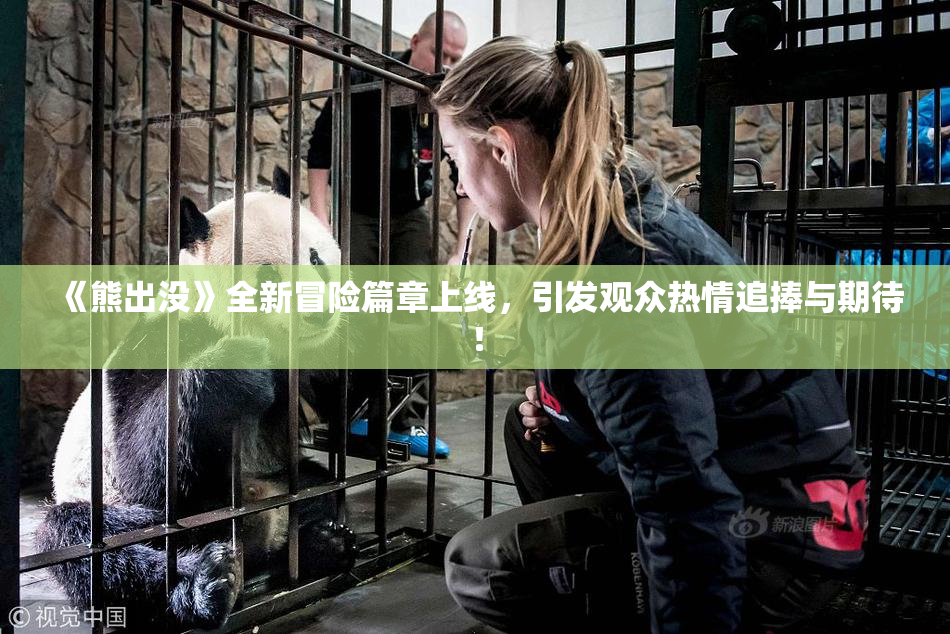 《熊出没》全新冒险篇章上线，引发观众热情追捧与期待！
